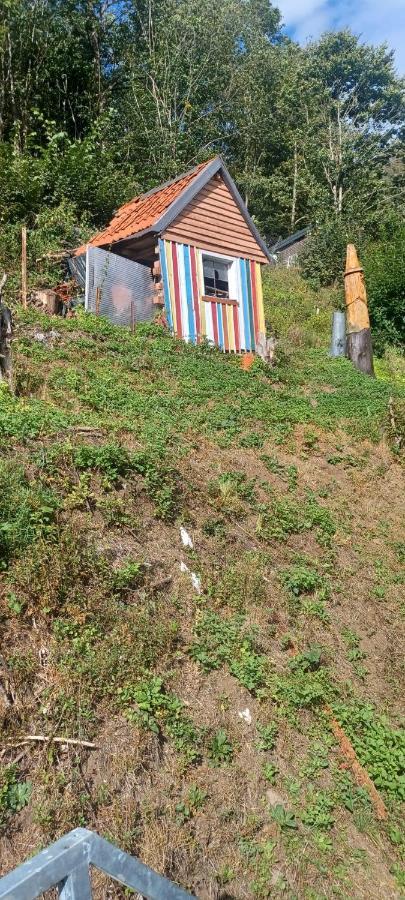 Apartamento Haus Auf Den Oberen Hexenstieg Osterode am Harz Exterior foto